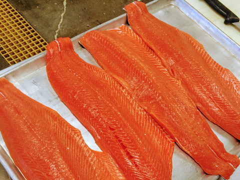 Bright red-orange wild Alaskan coho salmon fillets laid out on trays