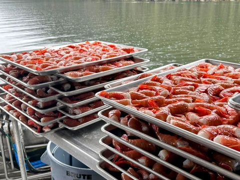 Spot Prawns - 1 lb