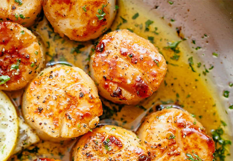 Scallops - 1 lb